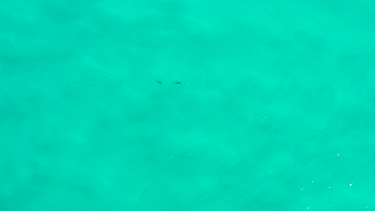 Turquoise sea viewed from above with small dark dolphin shapes near the upper left.