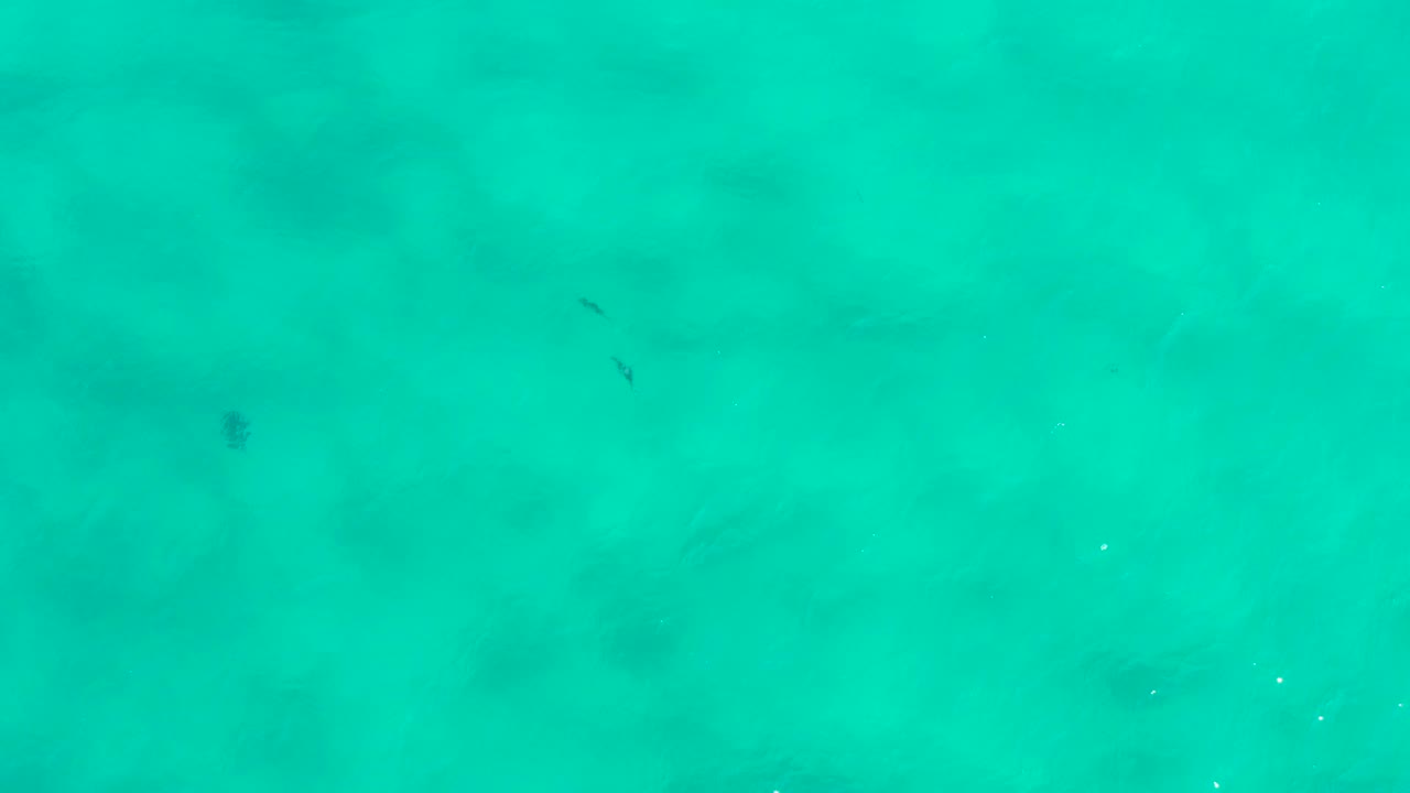 Straight-down view over turquoise ocean in San Jose del Cabo, Mexico, with scattered darker underwater patches and a few fish silhouettes, no visible people.