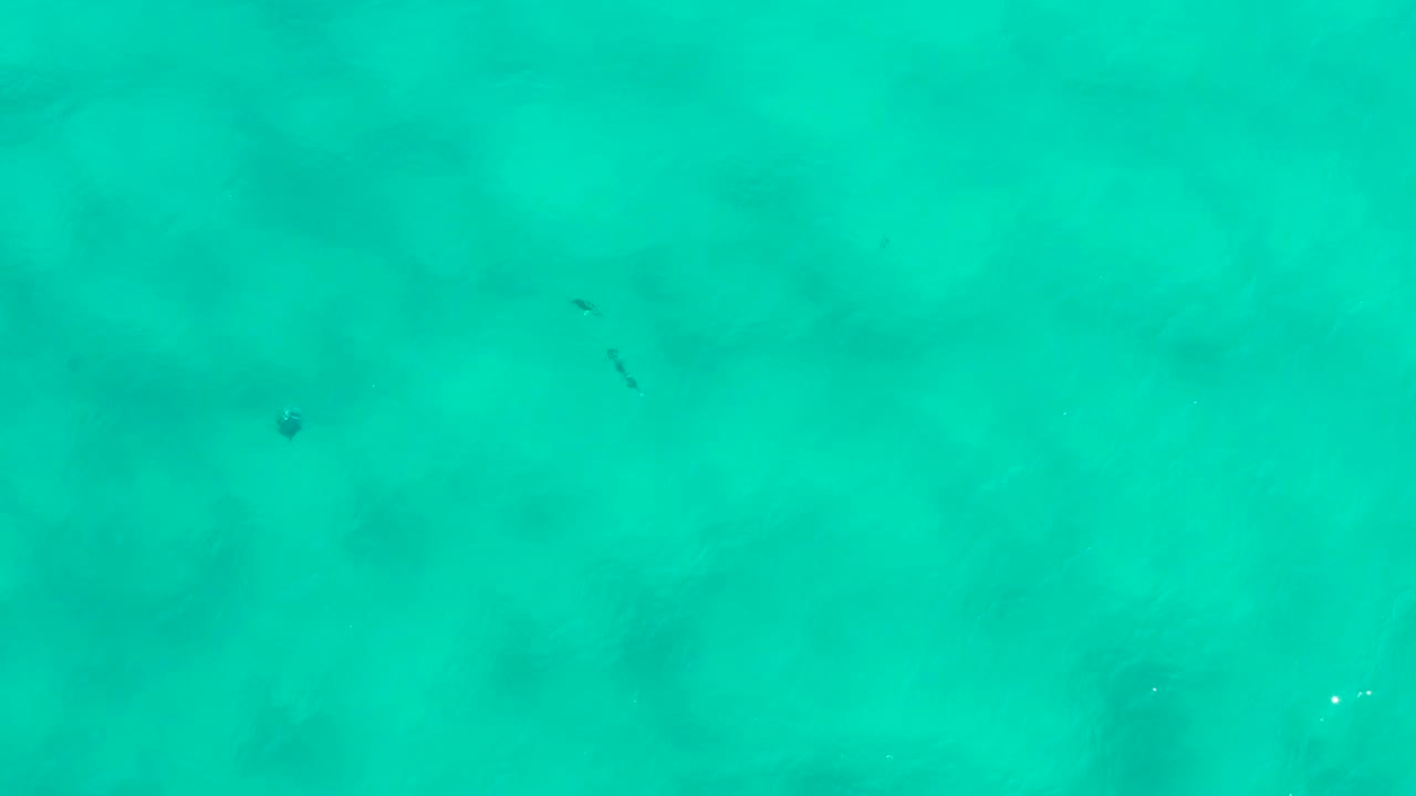 Open teal water with faint underwater shadows