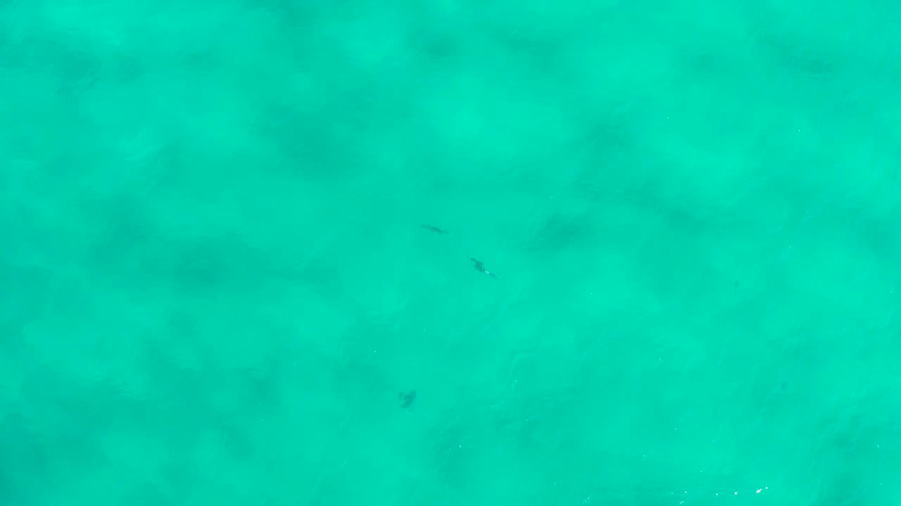 Overhead view of turquoise ocean water in San Jose del Cabo, Mexico, with faint darker underwater patches and no visible people.