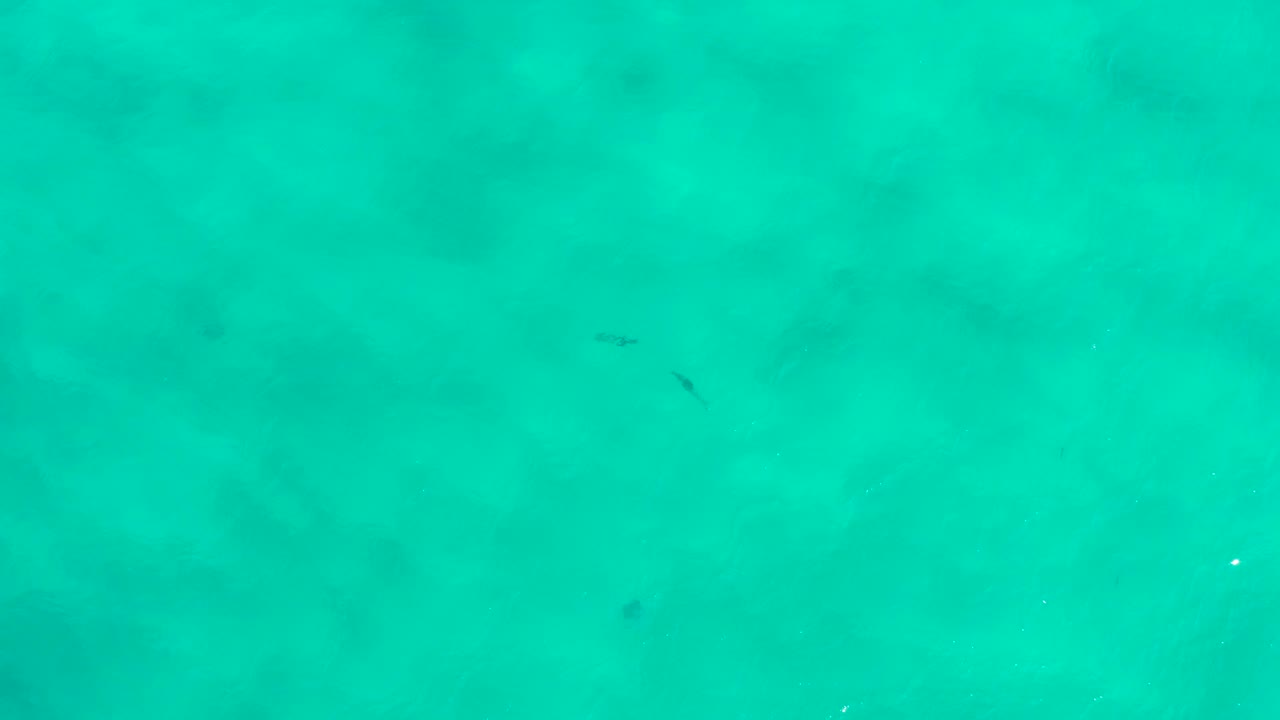 Aerial frame of turquoise sea in San Jose del Cabo, Mexico, showing muted shadowy patches below the surface and no visible people.