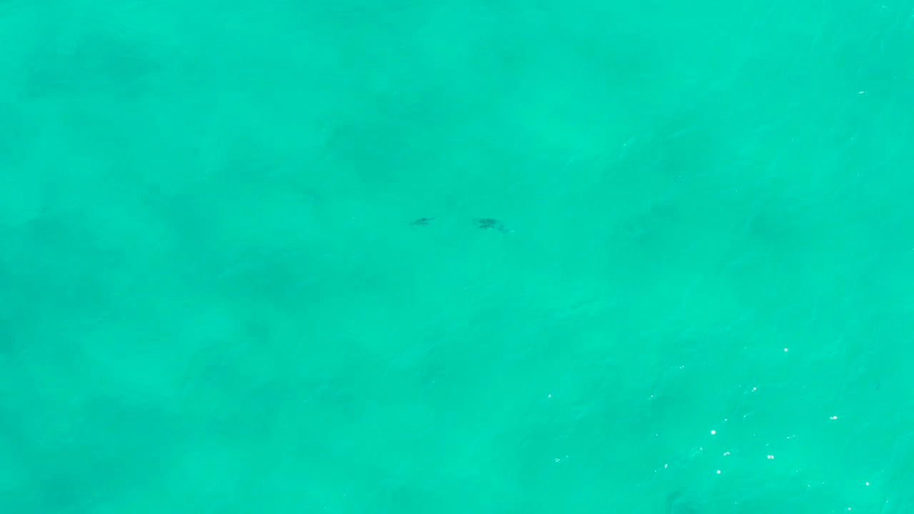 Turquoise water in San Jose Del Cabo with faint surface ripples, pale sandy variation beneath, a few small dark specks near the top, and no visible people.