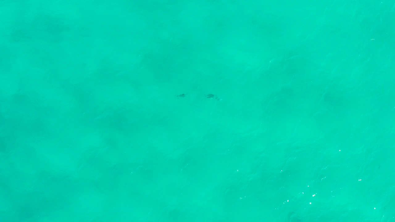 Bright blue-green water in San Jose Del Cabo with soft underwater color shifts, scattered white particles near the center, and no visible people.