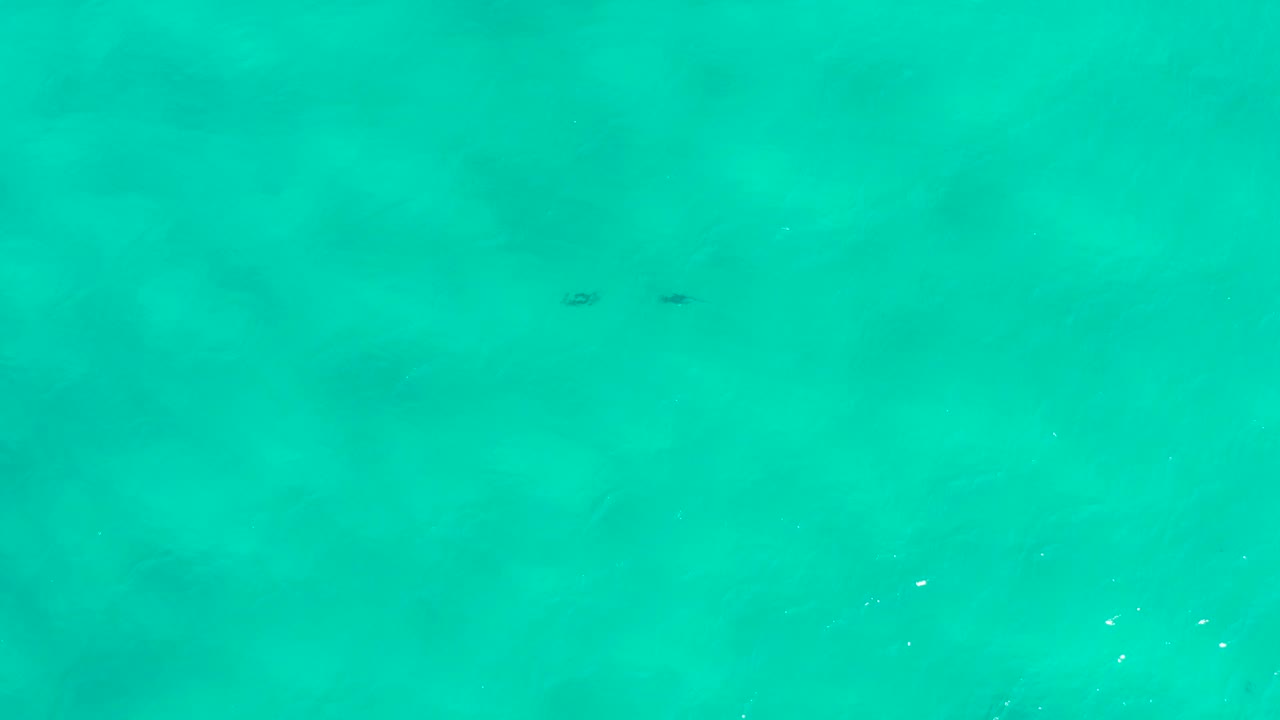 Clear turquoise water in San Jose Del Cabo with a small dark object near the upper center, hazy sandy patches below, and no visible people.