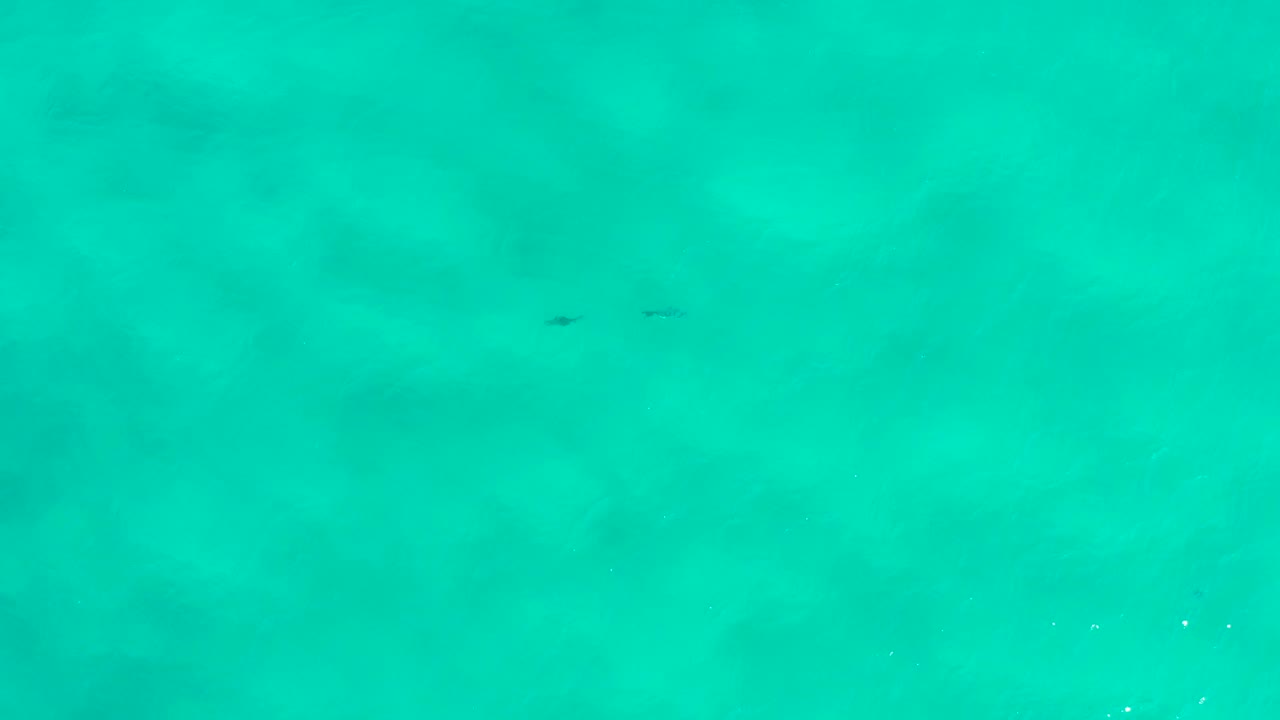 Turquoise San Jose Del Cabo water with tiny white debris, a darker underwater patch toward the lower area, and no visible people.