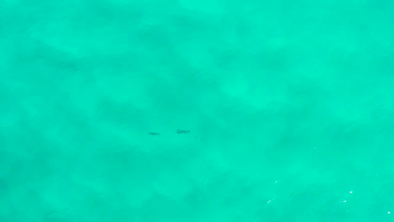 Turquoise underwater view from San Jose Del Cabo with faint darker patches beneath the surface and no visible people.
