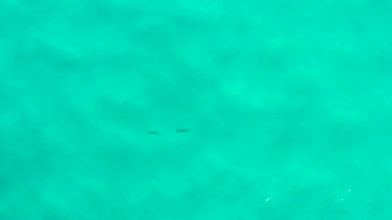 Blue-green water with subtle foam flecks