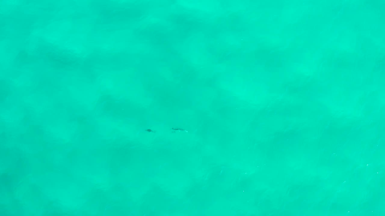 Clear turquoise water in San Jose Del Cabo with soft darker areas below the surface and no visible people.
