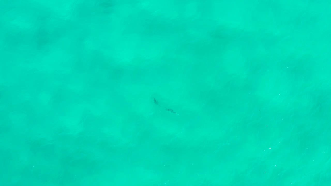 High overhead view of turquoise ocean in San Jose Del Cabo, Mexico, with small dark aquatic shapes lower in the frame and no visible people.