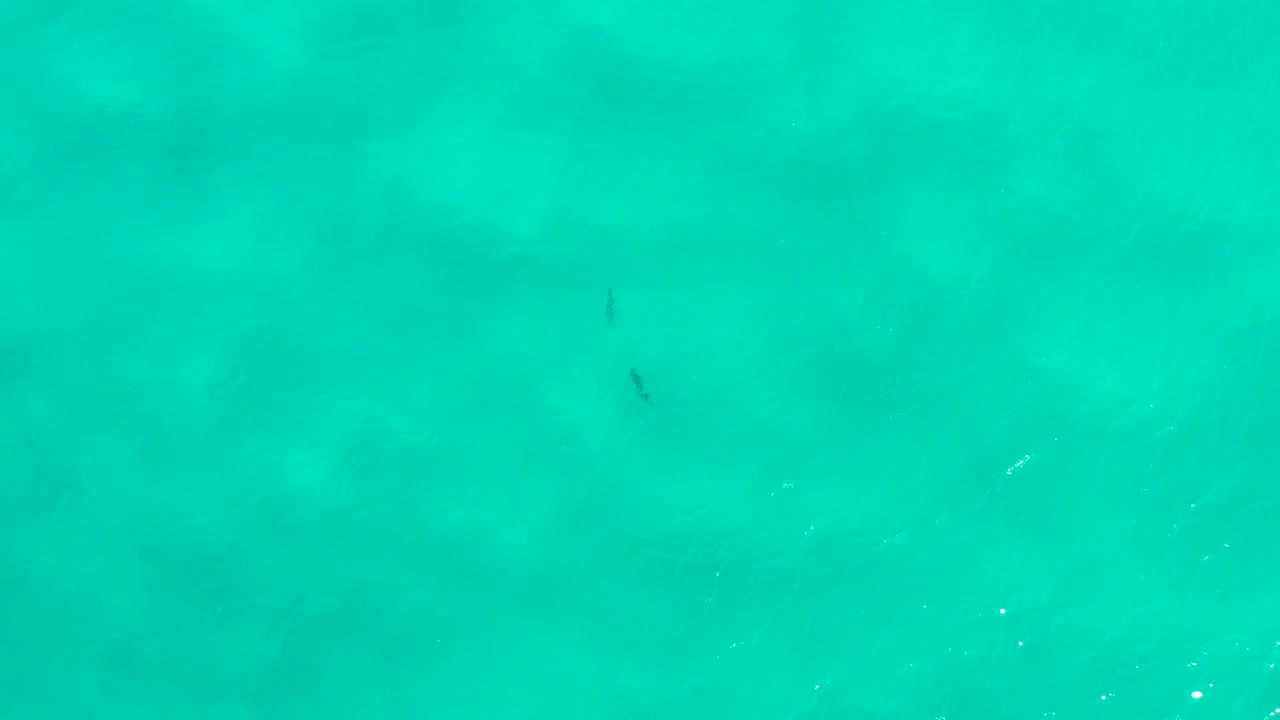 Aquamarine ocean water in San Jose Del Cabo shows faint surface ripples, scattered light flecks, and tiny fish silhouettes with no visible people.
