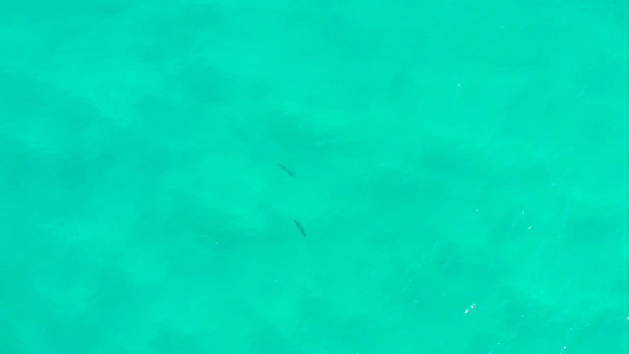 Straight-down view of turquoise sea water in San Jose Del Cabo with faint dark underwater shadows near the left side and no visible people.