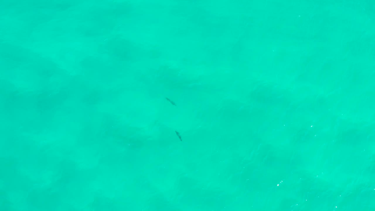 Overhead San Jose Del Cabo sea water frame with two small dark underwater marks in the upper left area and no visible people.
