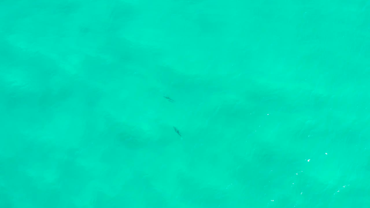 Bright blue-green sea in San Jose Del Cabo with a small dark shadow near the middle of the frame and no visible people.