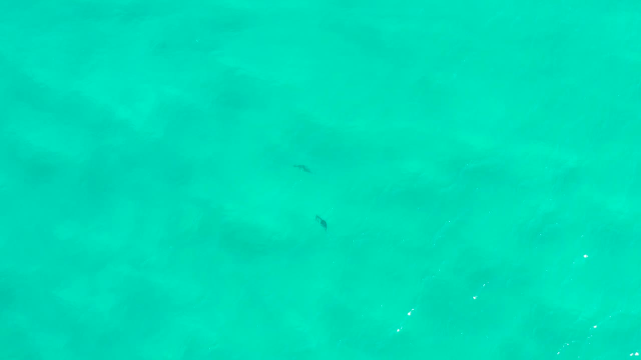 Turquoise water with faint underwater patches and small shadows.