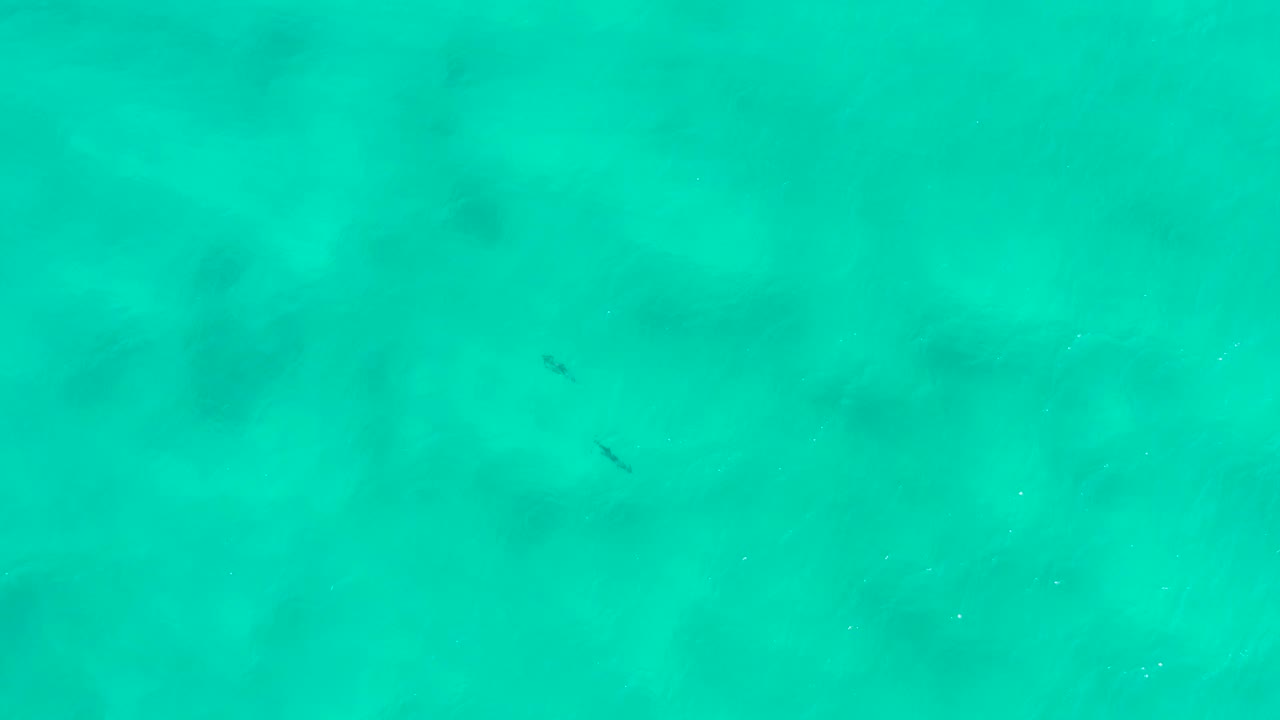 Overhead San Jose del Cabo water frame with blue-green color, faint darker underwater patches, and no visible people.