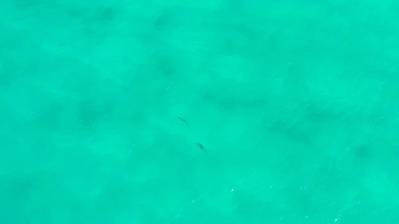 Aerial San Jose del Cabo water frame showing clear green-blue shallows, tiny white flecks near the right edge, and no visible people.