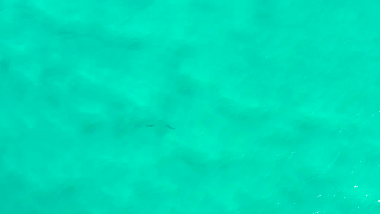 Teal ocean water in San Jose Del Cabo, Mexico fills the frame with muted darker underwater patches and no visible people.