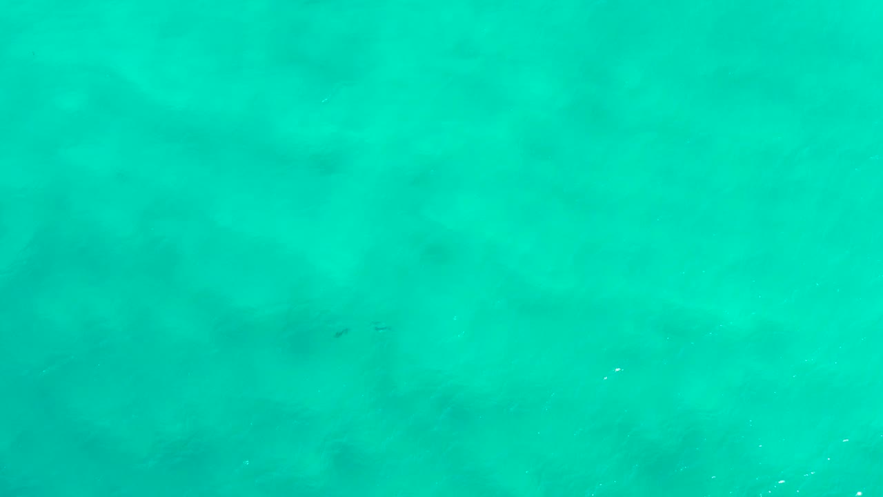 Teal ocean water in San Jose Del Cabo, Mexico fills the view with faint dark shapes below the surface and no visible people.