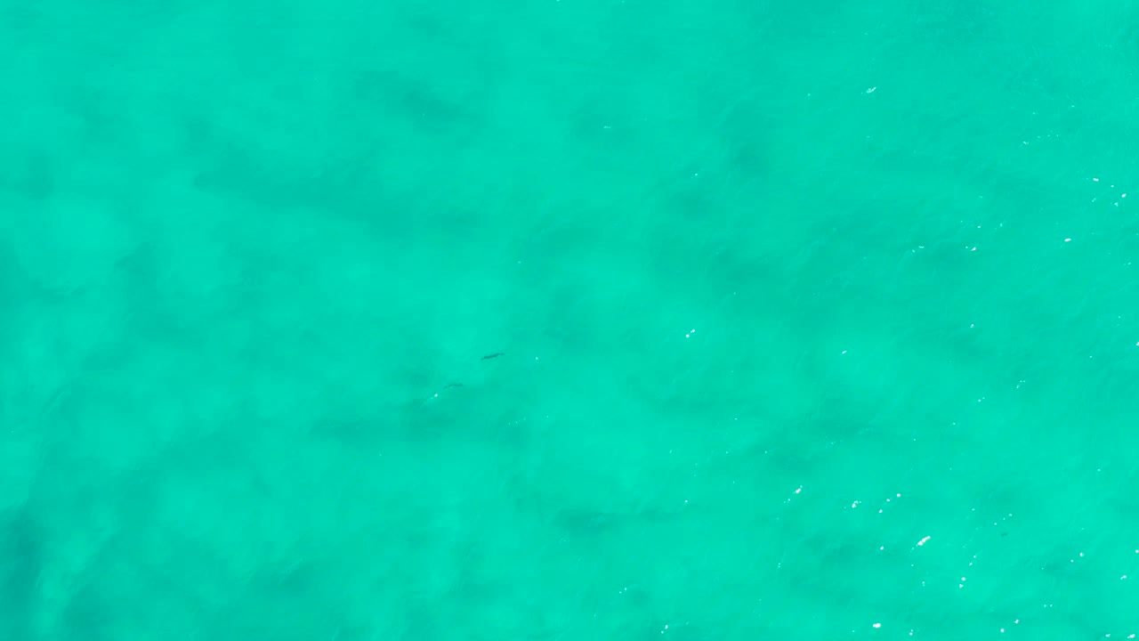 Top-down aqua water with faint darker patches.