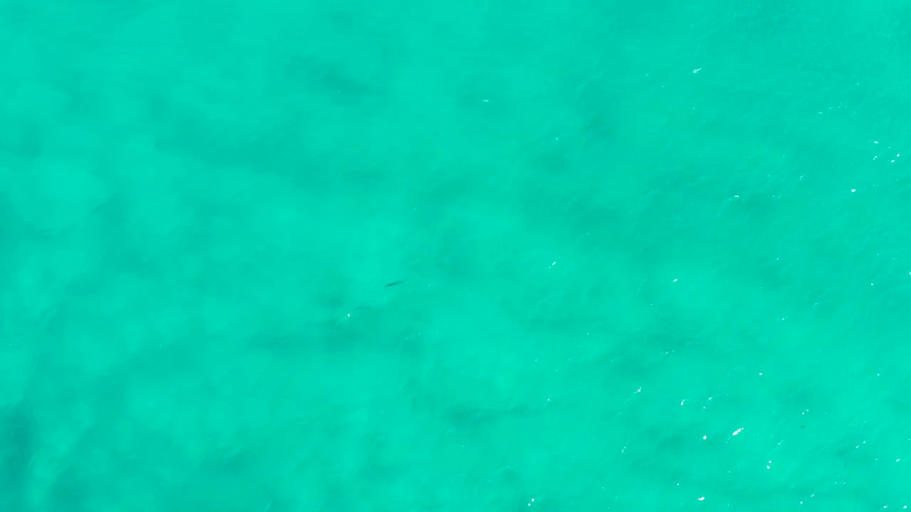 Turquoise water fills the frame in San Jose Del Cabo, Mexico, with diffuse underwater shadows and no visible people.