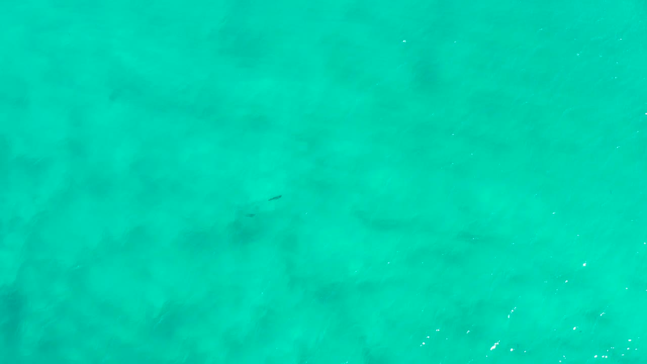 Aqua ocean water in San Jose Del Cabo, Mexico, shows faint rippling, scattered light flecks, and no visible people or shoreline.