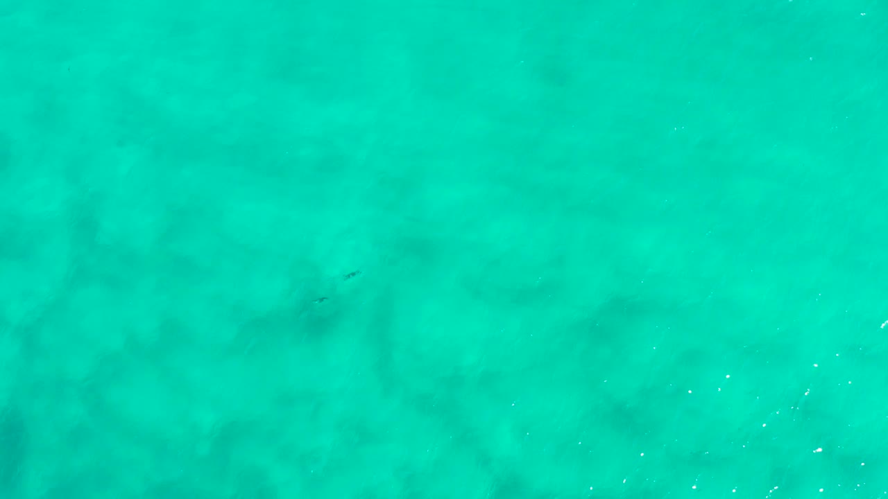 Clear blue-green water fills the San Jose Del Cabo frame, with mottled darker patches under the surface and no visible people.