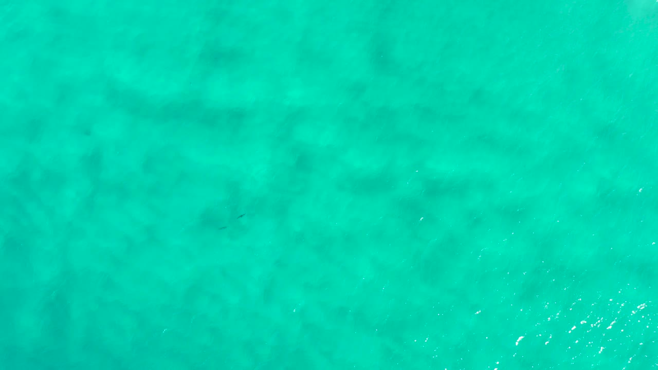 Turquoise green ocean surface in San Jose Del Cabo, Mexico, with faint darker patches below the water and no visible people.
