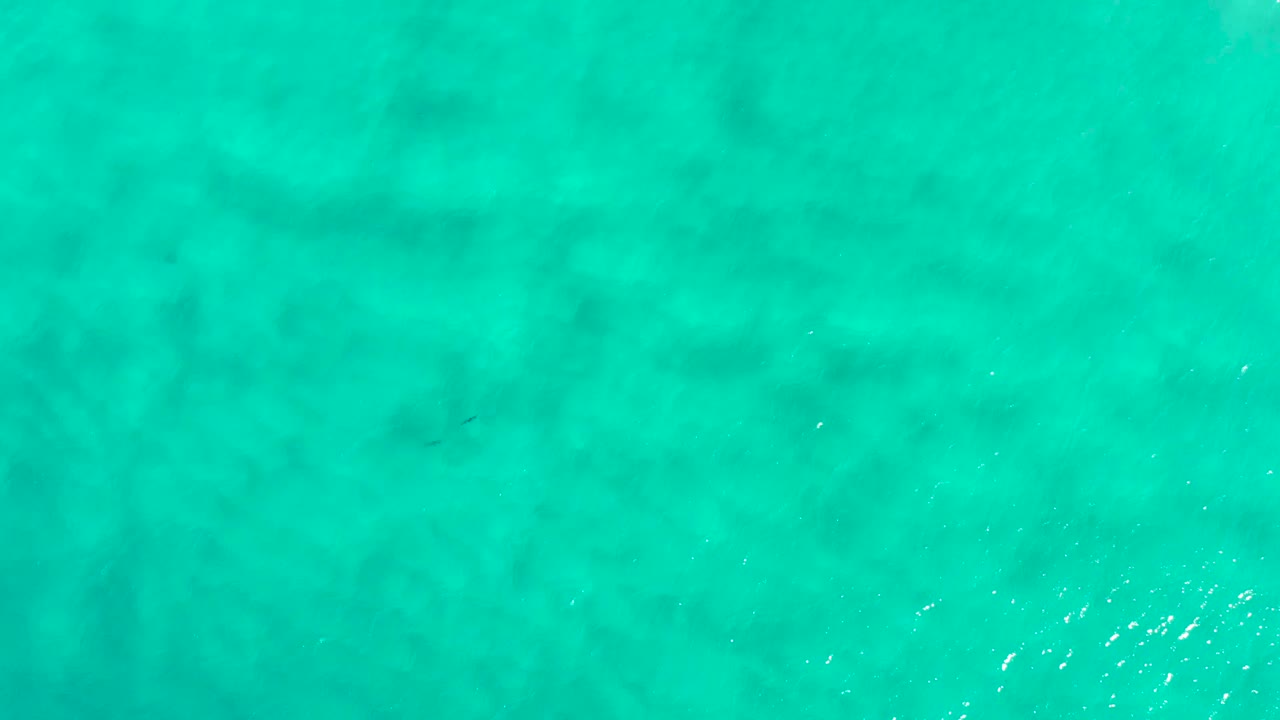 Green ocean water in San Jose Del Cabo, Mexico, with soft mottled shadowing under the surface and no visible people.