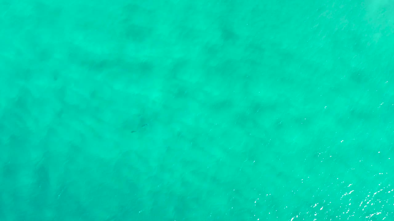Bright green sea surface in San Jose Del Cabo, Mexico, with a small cluster of white ripples near the lower part of the frame and no visible people.