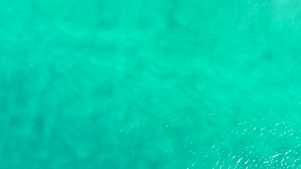 Calm turquoise water in San Jose Del Cabo, Mexico, with broader darker areas beneath the surface and no visible people.
