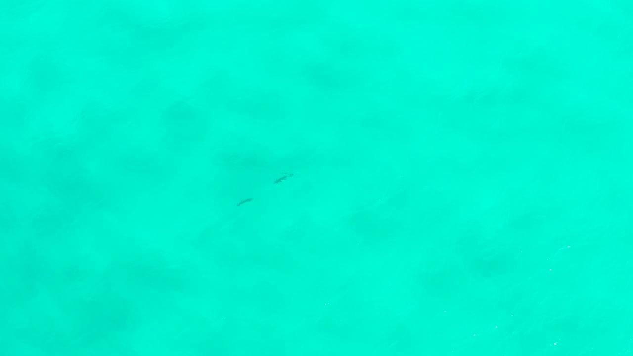 Overhead view of turquoise water in San Jose Del Cabo with a faint sandy seabed, a few small dark fish near the upper area, and no visible people.