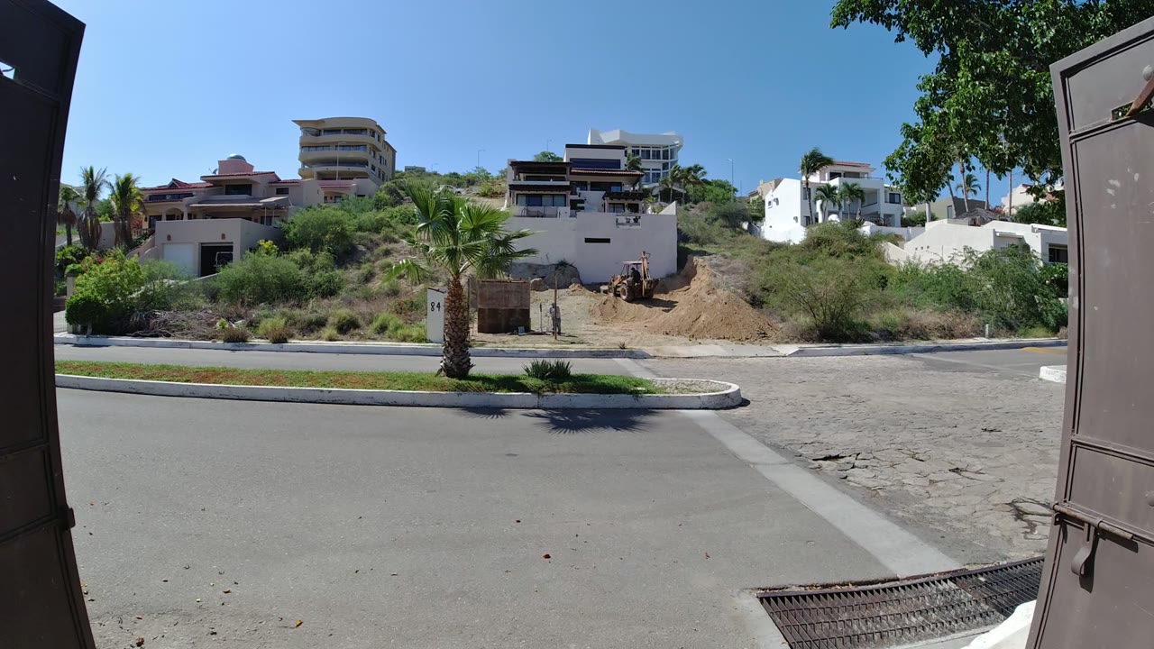 One second into the clip, the Los Cabos street remains mostly empty, with the palm centered near the median, homes on the hillside, and no visible people.