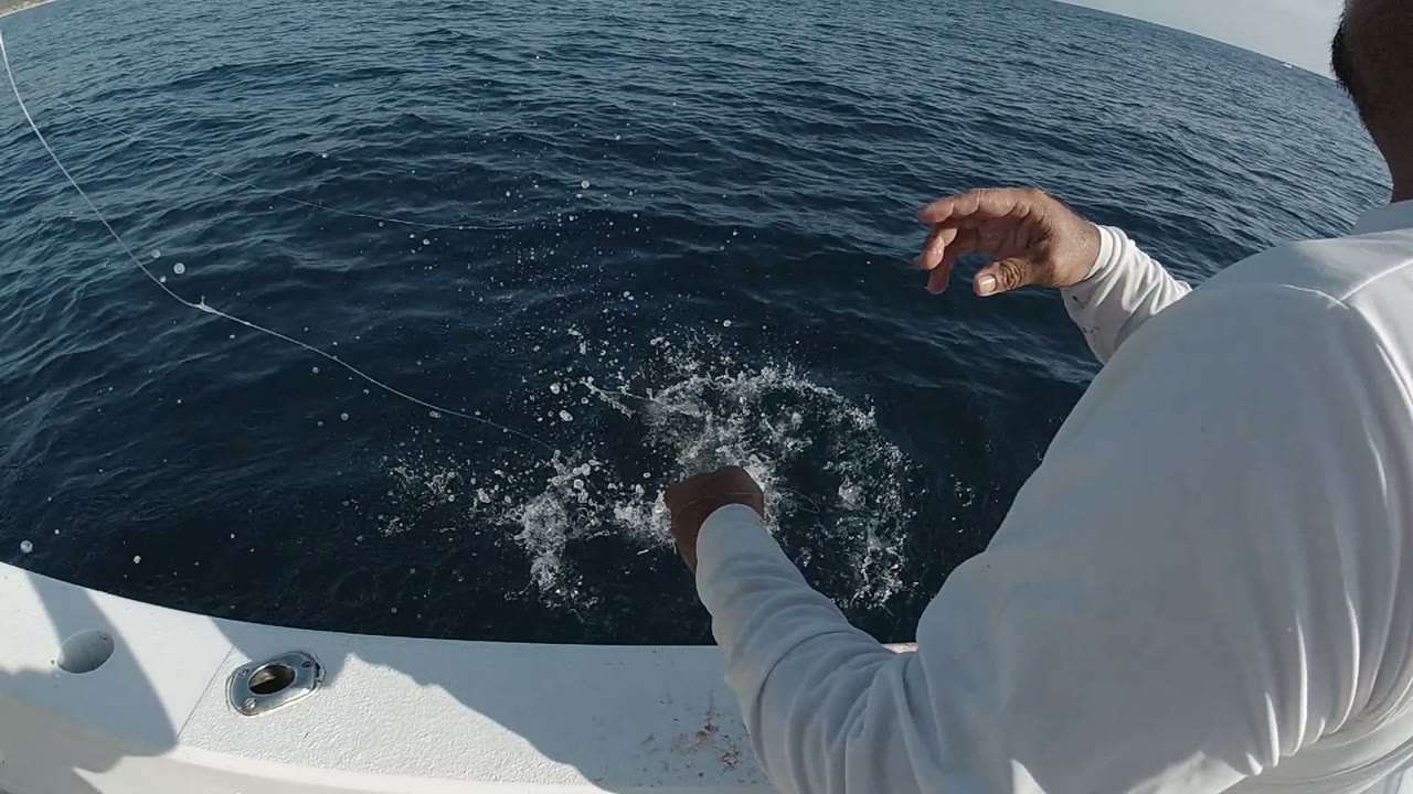 In Los Cabos, Mexico, the person remains bent over the white boat edge while a curved fishing line crosses the water and spray breaks near the hull.