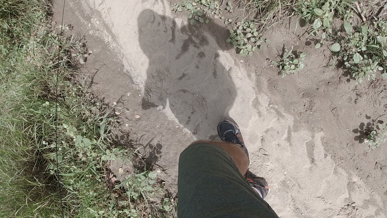 Downward view in Los Cabos, Mexico showing a person’s leg, dark shoe, and shadow on a pale sandy path beside low green plants.