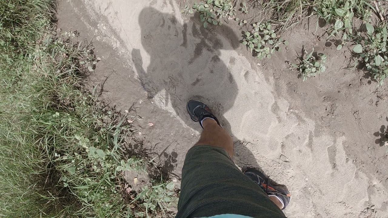 A downward Los Cabos trail view shows one foot on pale sand, the walker’s shadow, and sparse plants along the path edge.