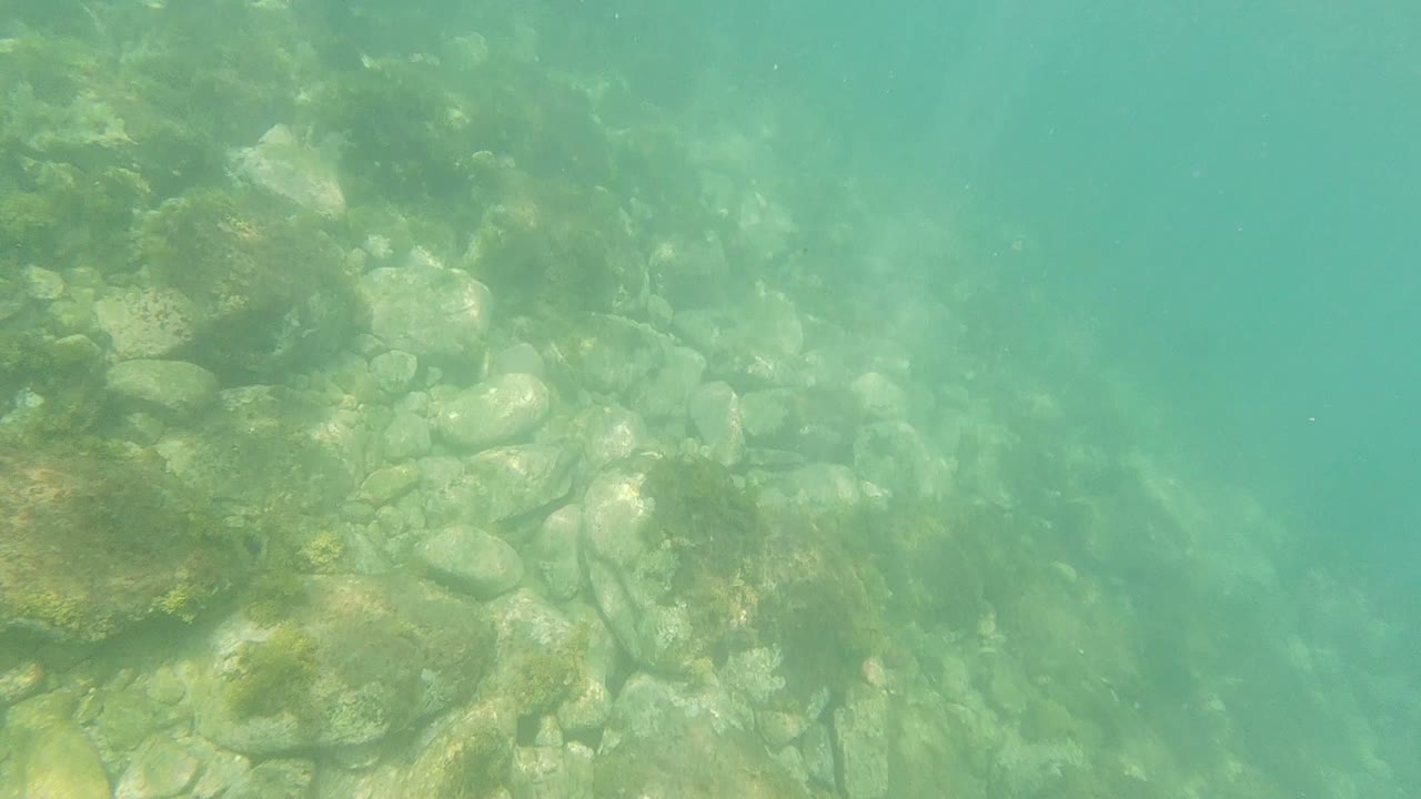 Murky green-blue water over a rocky underwater floor.