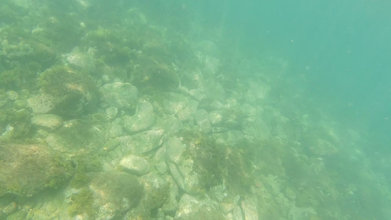 Underwater Los Cabos frame with a dense patch of pale stones below, soft sunlight through cloudy turquoise water, and no visible people.