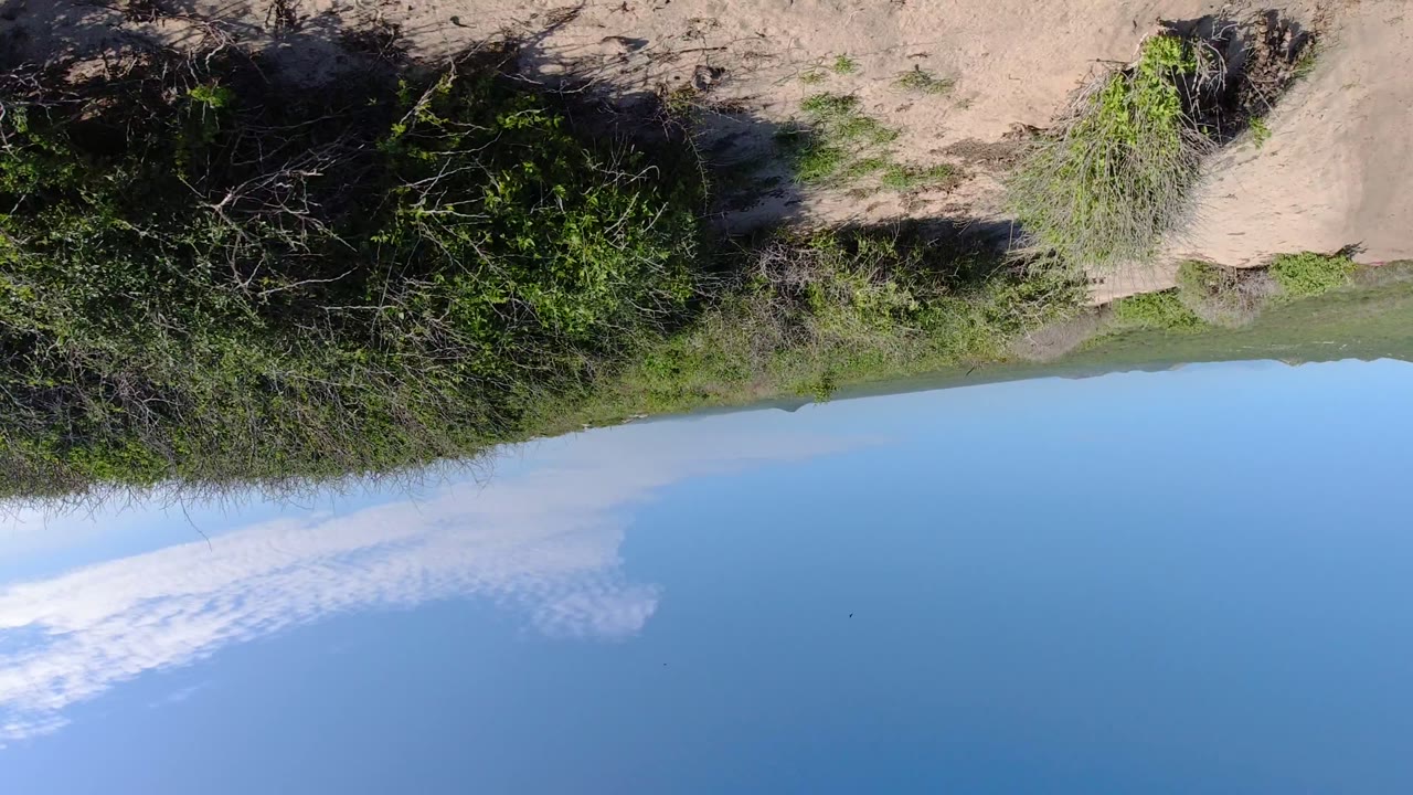 Upside-down desert track with brush and blue sky
