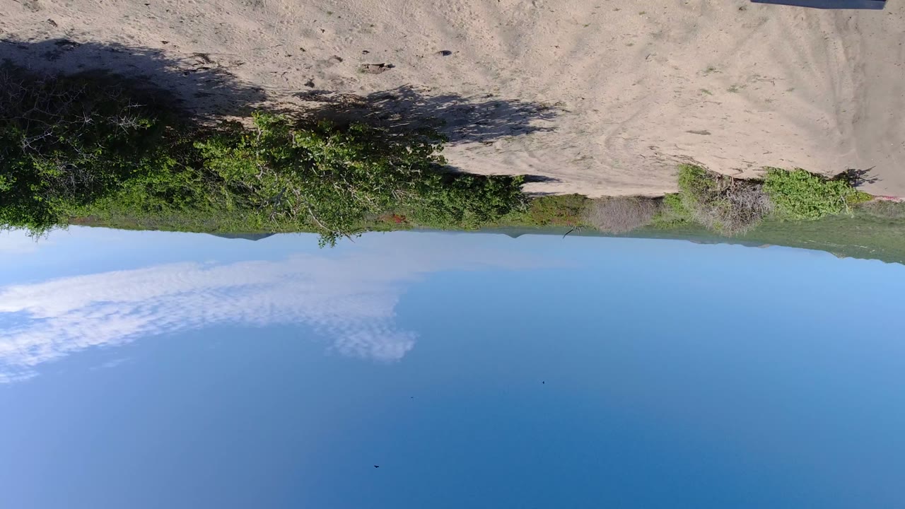 In Los Cabos, the inverted frame looks across pale sand, scattered shrubs, a low horizon of hills, and clear blue sky with no visible people.