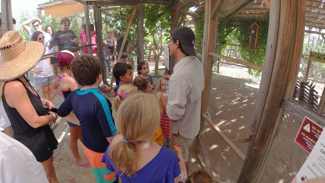 A closer view of the Los Cabos tour gathering shows children in the foreground, adults behind the mesh, and a guide in a light shirt speaking near the right edge.