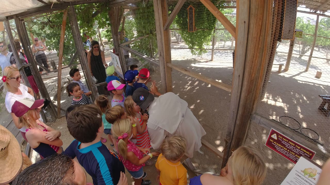 Children and adults gather in a shaded wooden enclosure around a covered object.
