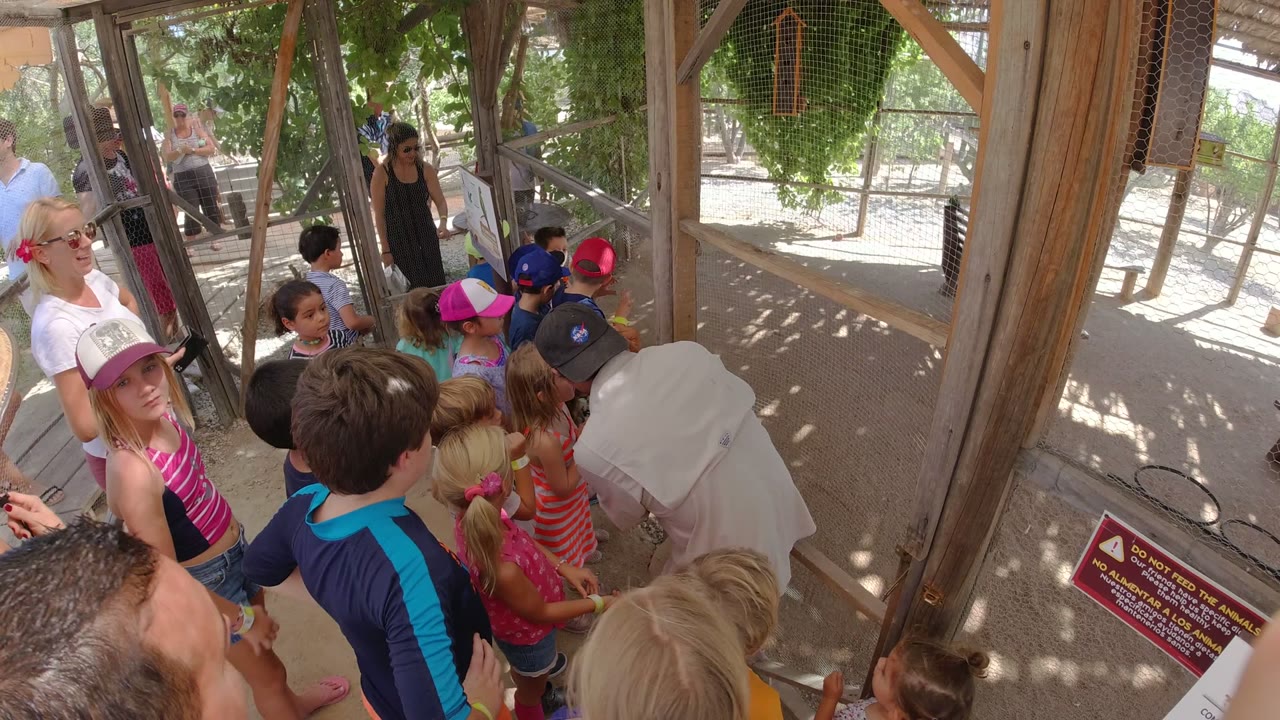 The group shifts slightly as children face inward under the wood-framed enclosure in Los Cabos, Mexico, with adults standing around the edges and sunlight filtering through the roof.