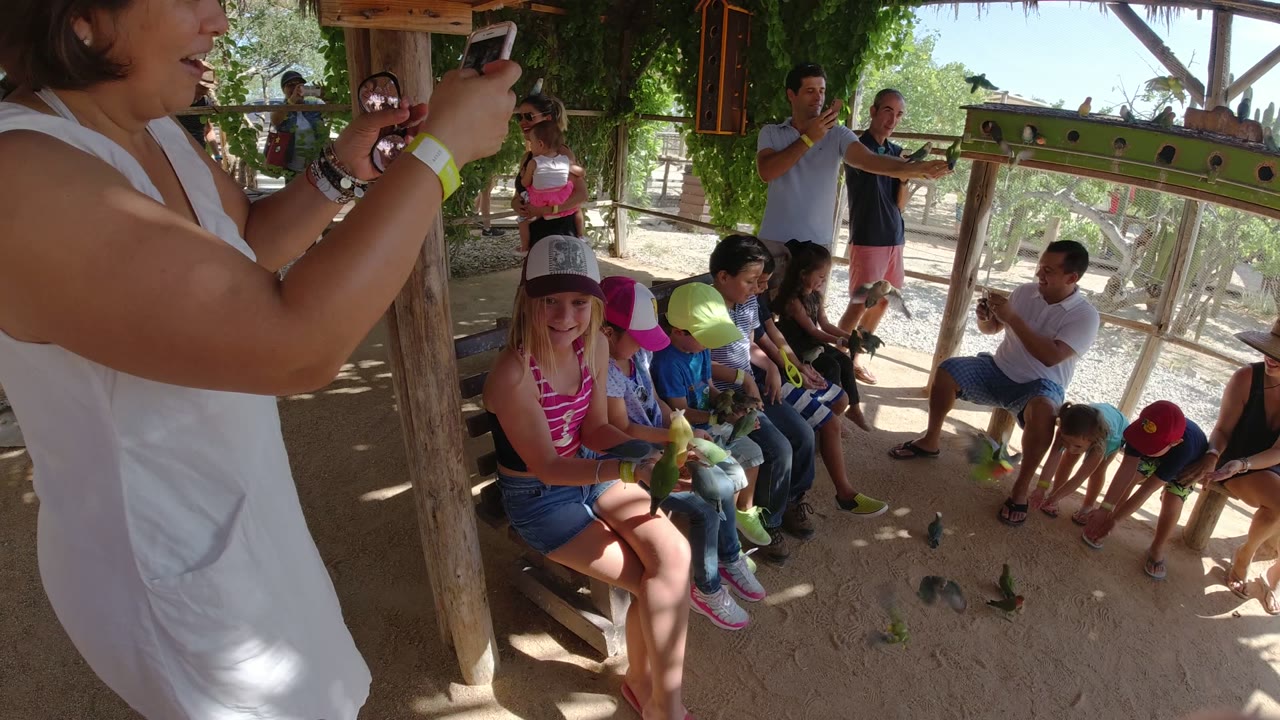 Children and adults sit under a shaded shelter in Los Cabos, Mexico, while small birds gather near benches and a person in the foreground films with a phone.
