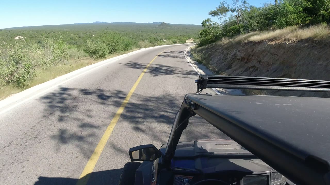 Curving paved desert road seen from a vehicle with scrub on both sides.