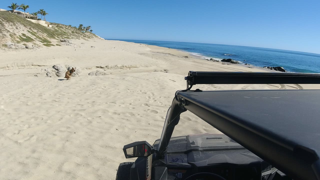 Beach dunes, ocean waves, rocks, and an off-road vehicle foreground.
