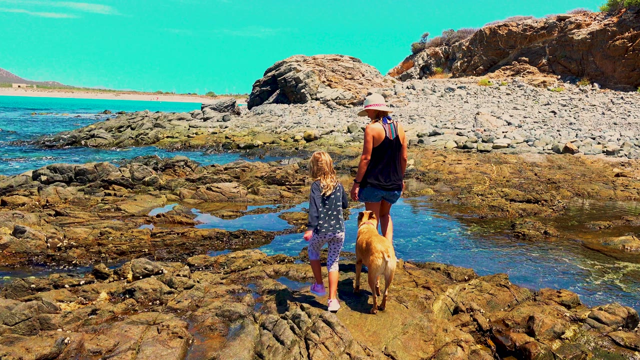 At 0:01, the woman, child, and dog remain near the lower center of the frame while wet rock pools lead toward the sea and boulders in El Sargento La Ventana, Mexico.