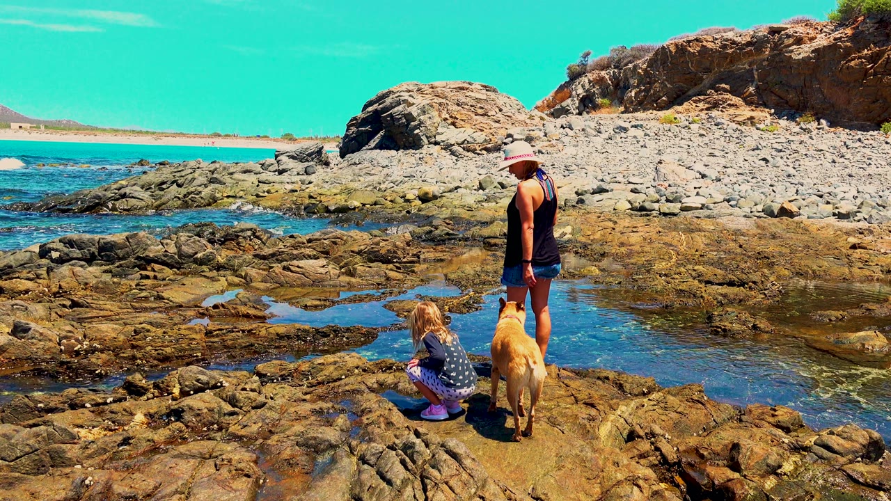 At 0:02 in El Sargento La Ventana, Mexico, the child crouches beside a tide pool while the woman stands nearby and the dog faces the rocky waterline.