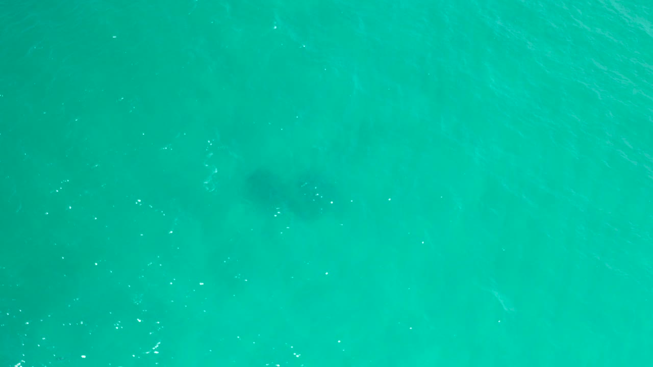 Overhead turquoise ocean water in San Jose Del Cabo, Mexico, with faint ripples, scattered white highlights, darker underwater patches near the left and center, and no visible people.