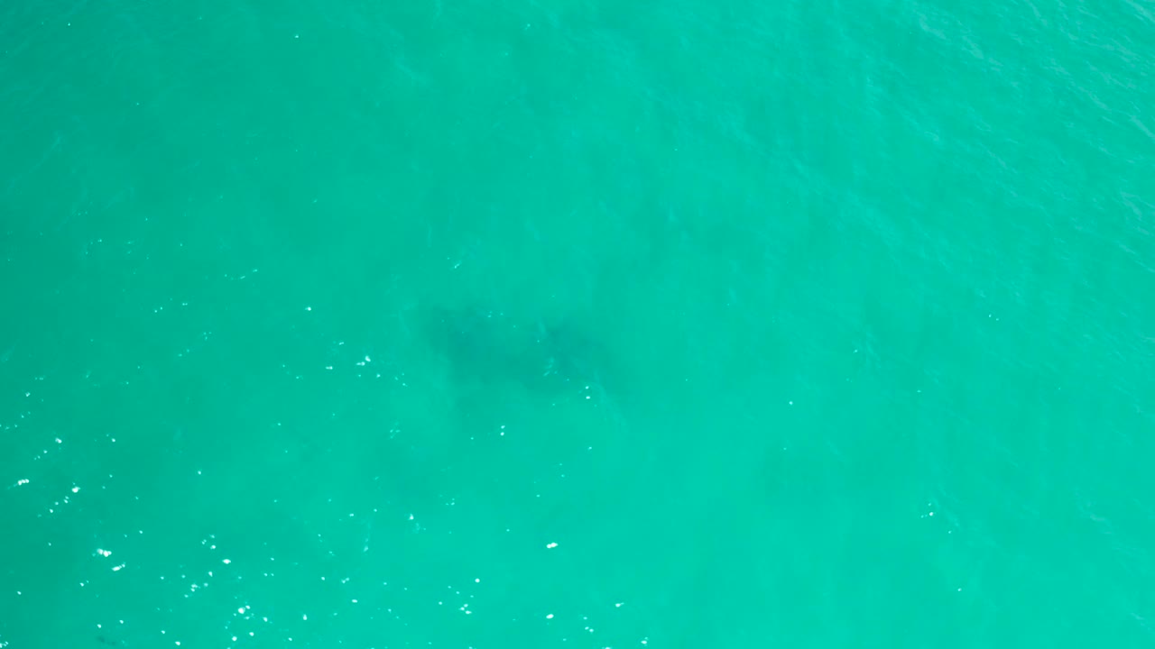 Aerial-looking view of turquoise ocean in San Jose Del Cabo, Mexico, with cloudy darker shapes under the water, gentle surface texture, and no visible people.