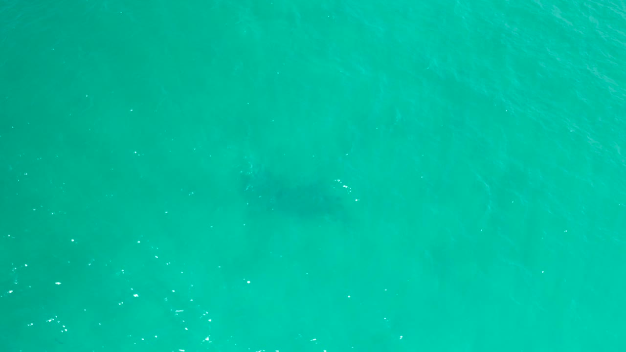 Empty teal ocean water in San Jose Del Cabo, Mexico, seen from above with faint wave movement, a darker underwater patch low in the frame, and no visible people.